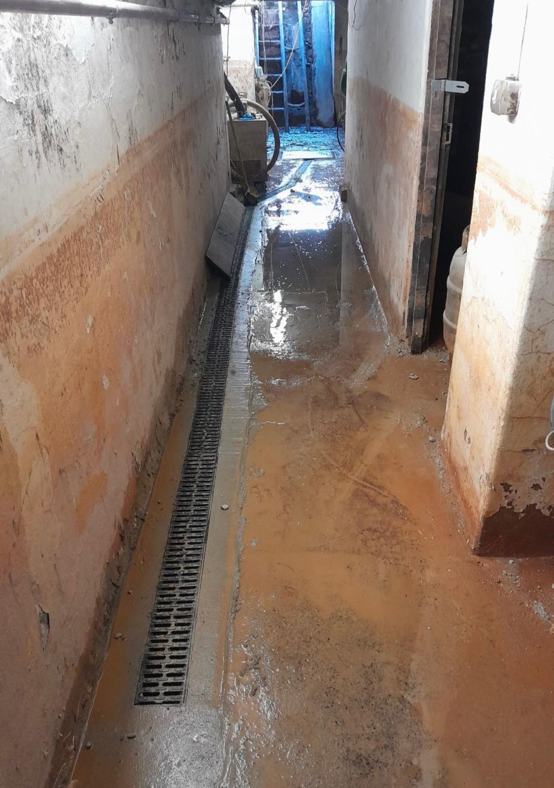 Flooded Cellar to Dry Storage