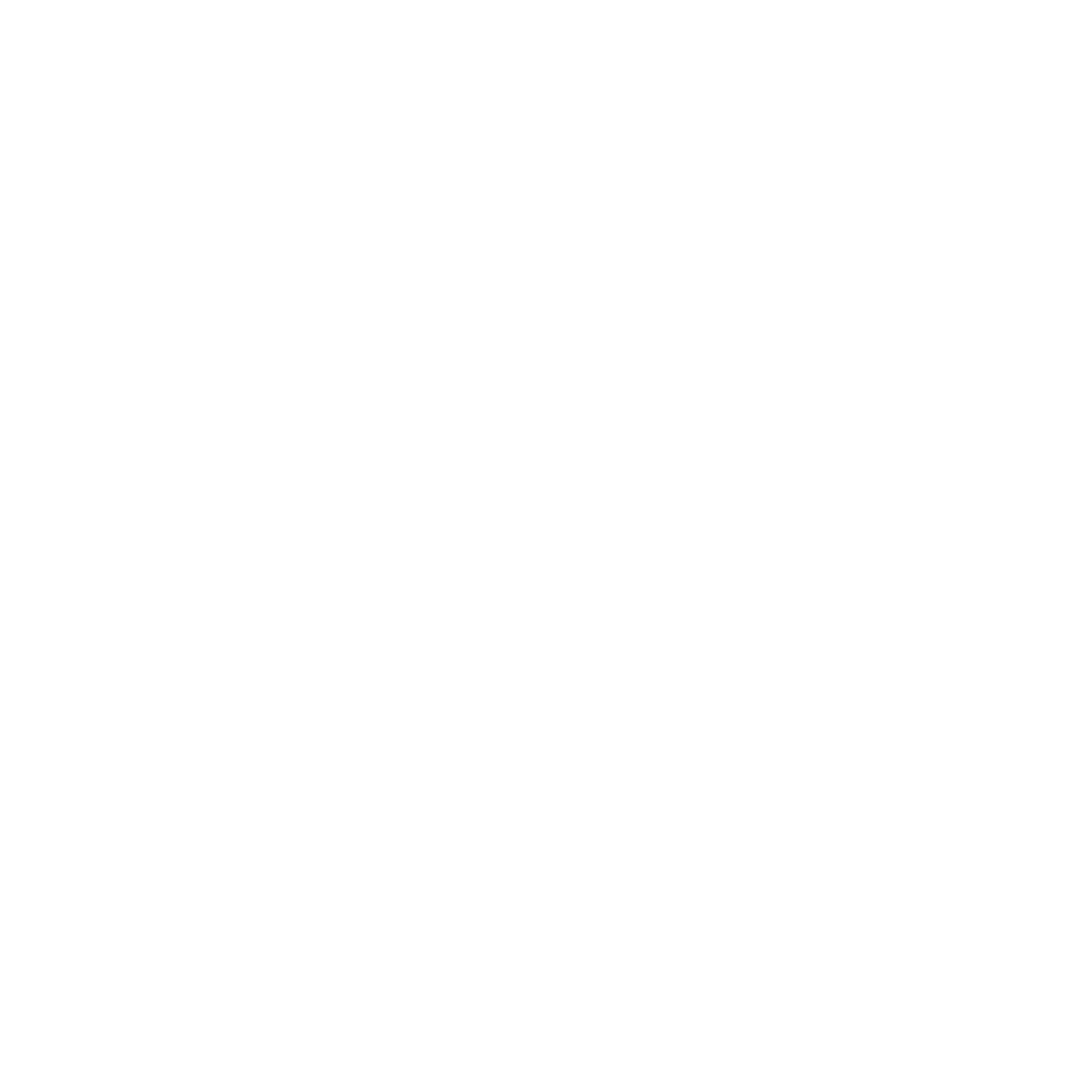 Full Written Report